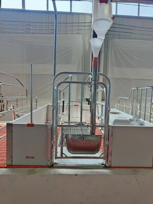 Lámina hueca de PVC ignífuga y lámina de techo de PVC para equipos de granjas porcinas y avícolas